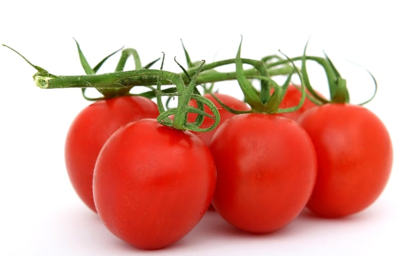 Delightful Culinary Experiences